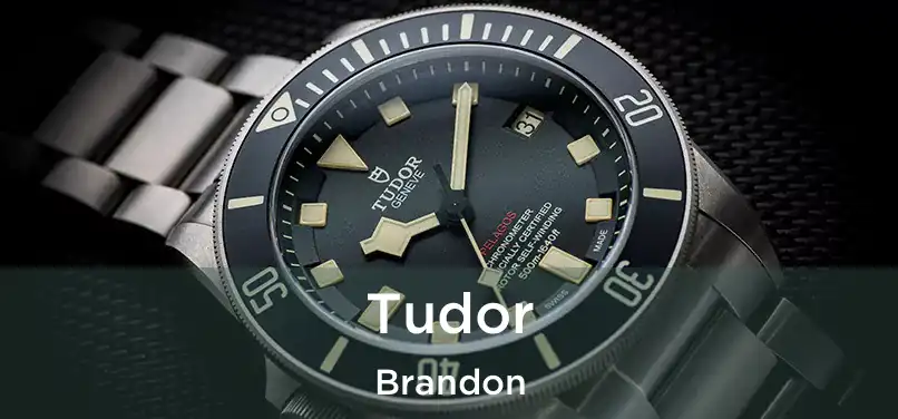 Tudor Brandon