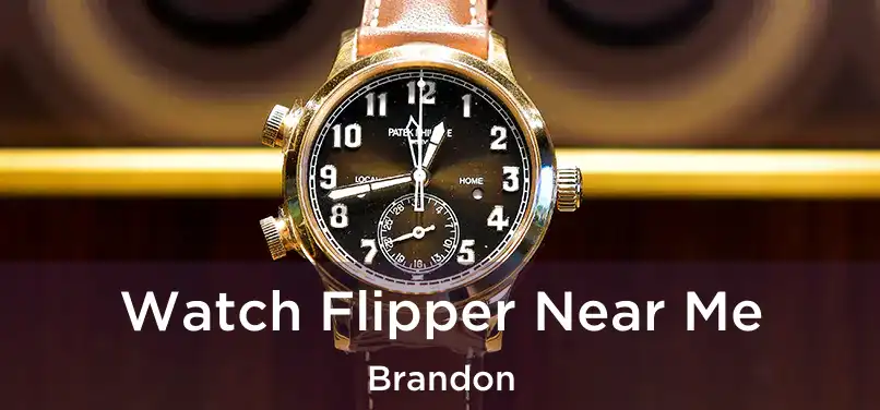 Watch Flipper Near Me Brandon